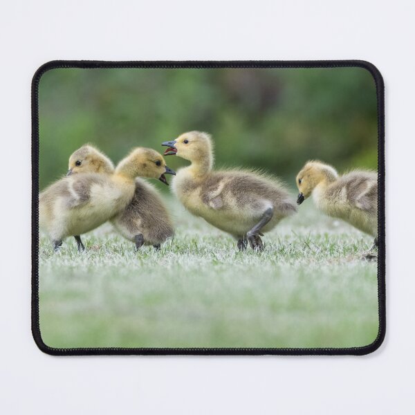 Item preview, Cuteness exemplified designed and sold by Adrian Rowley.