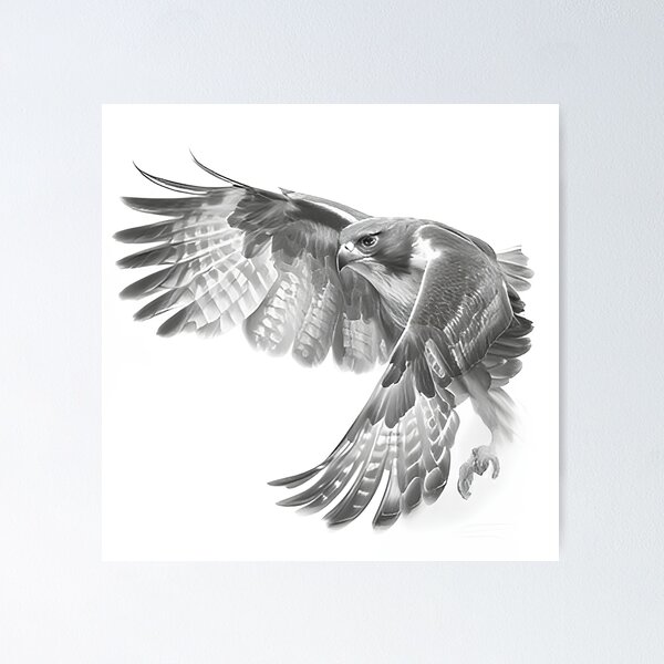 Item preview, Black and white Hawk pencil drawing designed and sold by Pencil-Art.