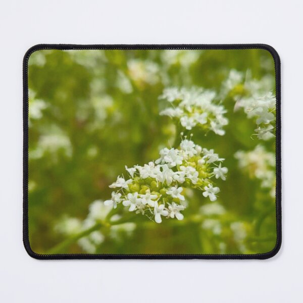 Item preview, White Buds designed and sold by Abeink1030.