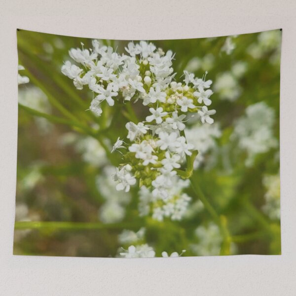 Aperçu de l'œuvre Bourgeons blancs créée et vendue par abeink.