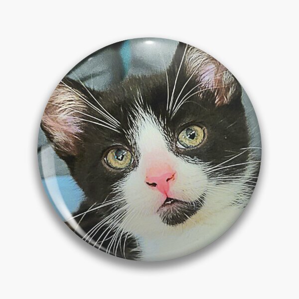 Item preview, Cursed Cat Meme designed and sold by CozyHobbyCorner.