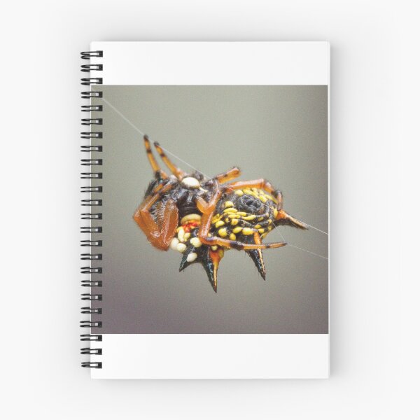 Item preview, Hanging On designed and sold by Philip Alexander.