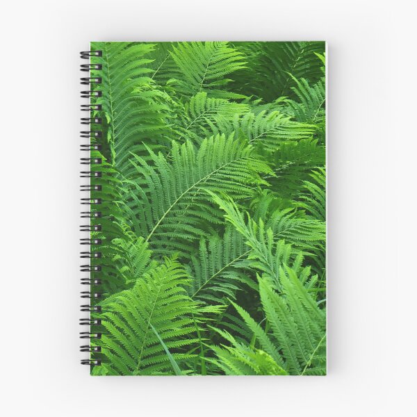 Item preview, Ferns InThe Forest designed and sold by Ediebxgood.