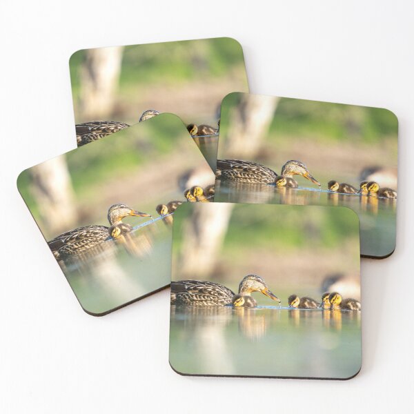 Item preview, Family O' Ducks designed and sold by Stephen Carmickle.