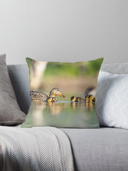 Family O' Ducks Throw Pillow