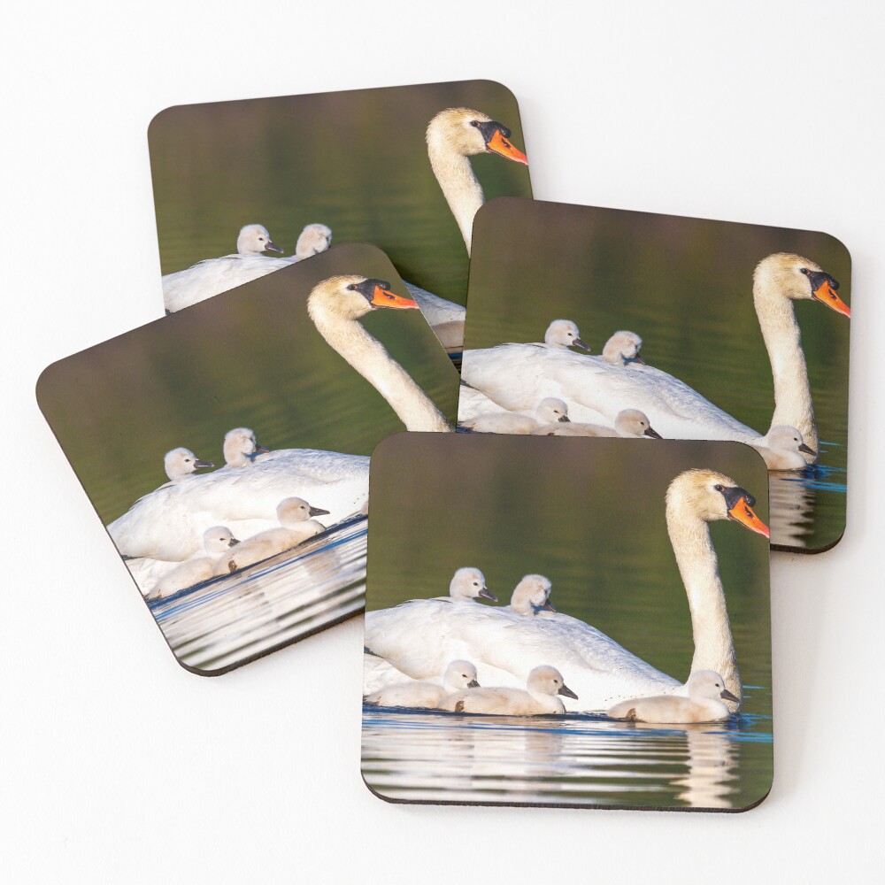 Item preview, Coasters (Set of 4) designed and sold by Starmickle.