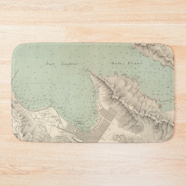 Item preview, Vintage Map of Wellington New Zealand (1881) designed and sold by BravuraMedia.
