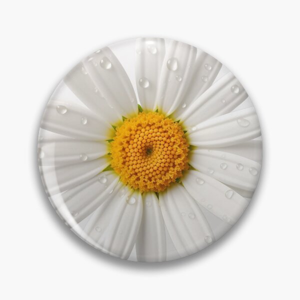Item preview, Daisy Flower Clipart, Great Gift for any Occasion designed and sold by PixelArtVaults.