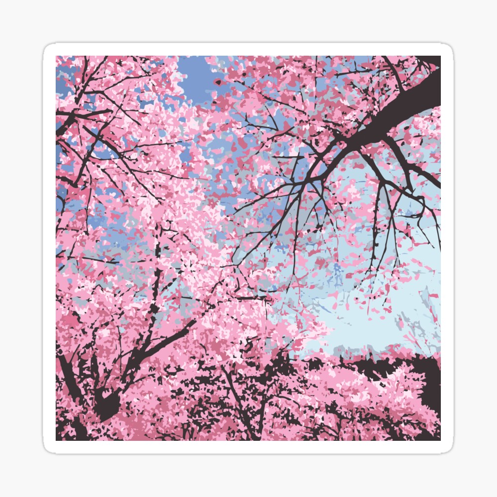 Cherry Blossom Tree Anime Pfp - Cherry Blossom Tree Anime Wallpapers