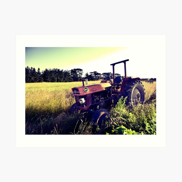Massey Ferguson 165 Art Print