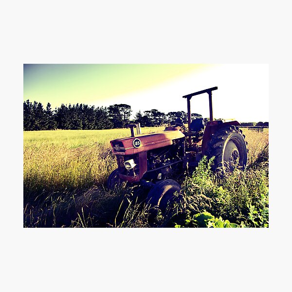 Massey Ferguson 165 Photographic Print