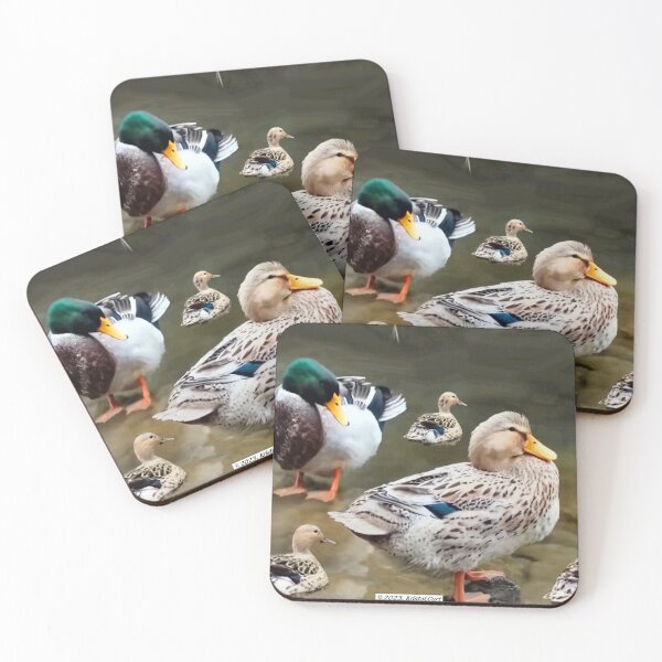 Item preview, Quacky Duck Family designed and sold by kristalcurt.