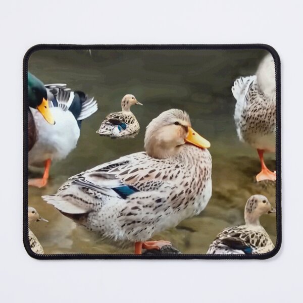 Item preview, Quacky Duck Family designed and sold by kristalcurt.