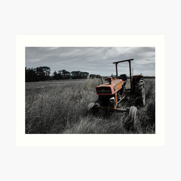 In Retirement Art Print