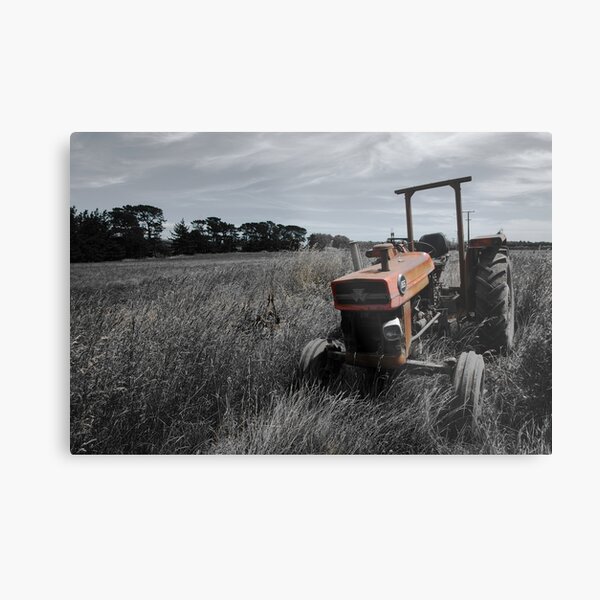 In Retirement Metal Print