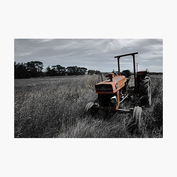 In Retirement Photographic Print