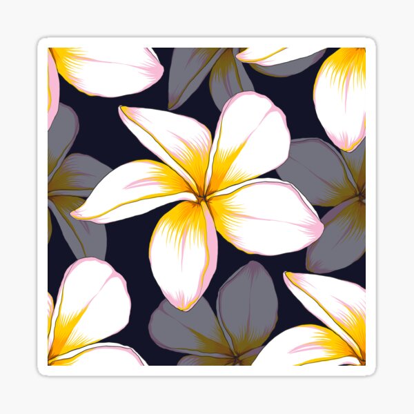 Artikel-Vorschau von Pazifische Frangipani-Blume, designt und verkauft von Alafina2019.