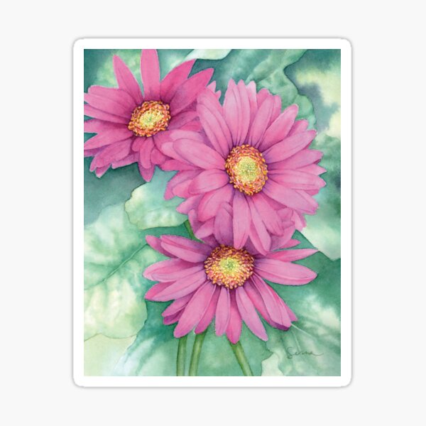 Gerbera Daisies Sticker