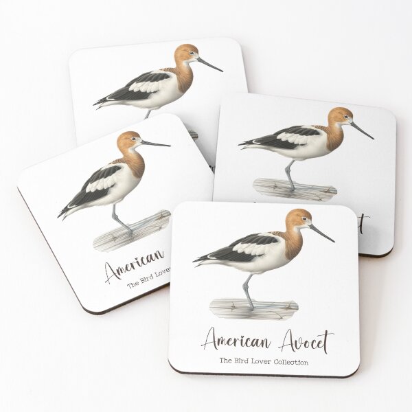 Item preview, American Avocet - The Bird Lover Collection designed and sold by GoodOldVintage.