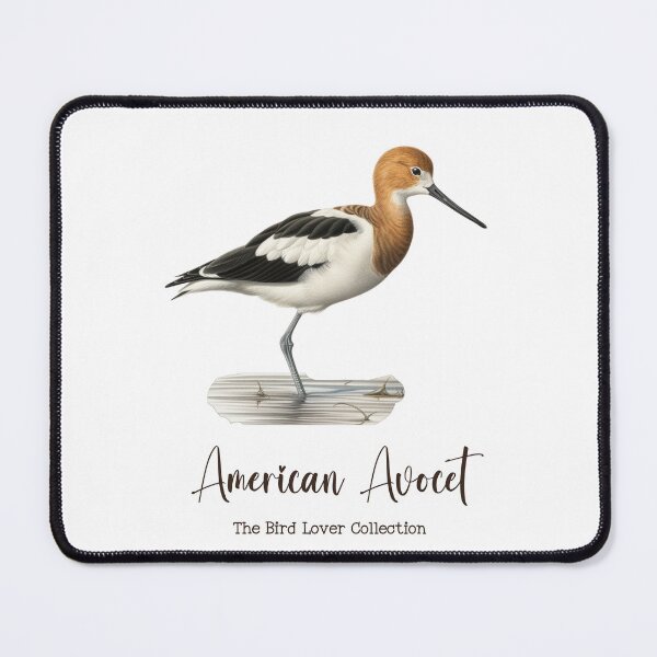 Item preview, American Avocet - The Bird Lover Collection designed and sold by GoodOldVintage.