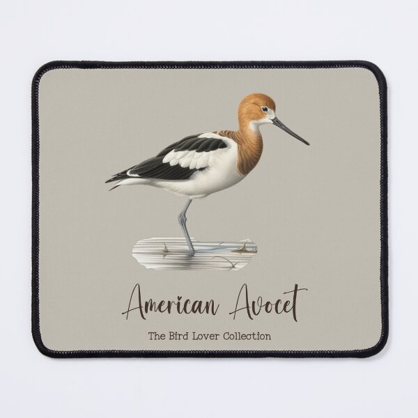 Item preview, American Avocet - The Bird Lover Collection designed and sold by GoodOldVintage.