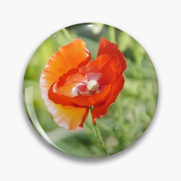 Item preview, Poppy blossom in my garden designed and sold by Binas-gallery.