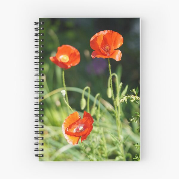 Item preview, Poppy blossom in my garden designed and sold by Binas-gallery.