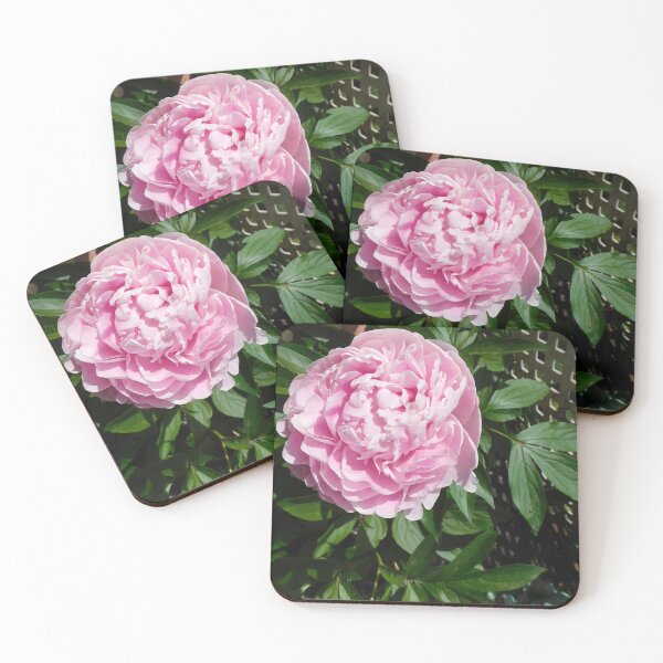 Item preview, pretty Pink   designed and sold by Zarabeaver.