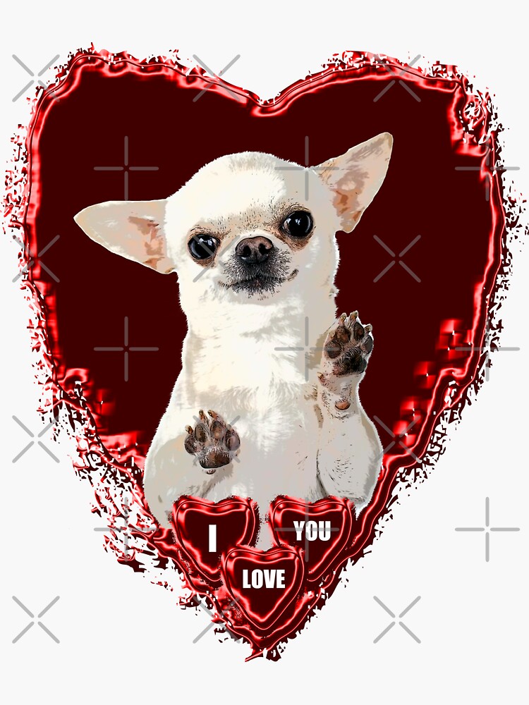CHIHUAHUA ST VALENTIN DOG Sticker