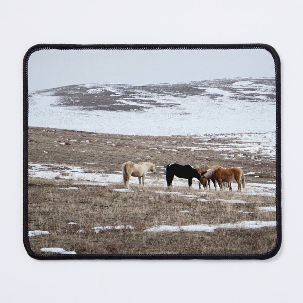 Item preview, Early Spring Horses in Patchy Snow designed and sold by Vivar Photo.