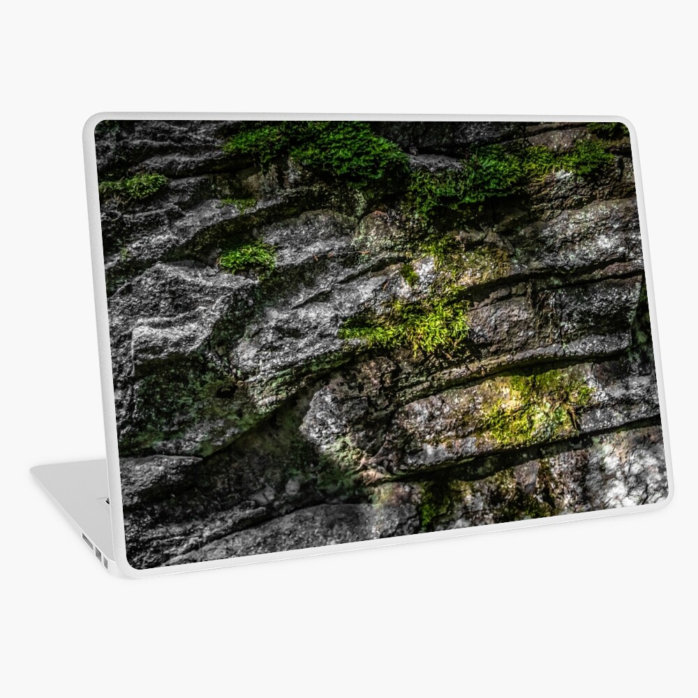 surface laptop studio skin