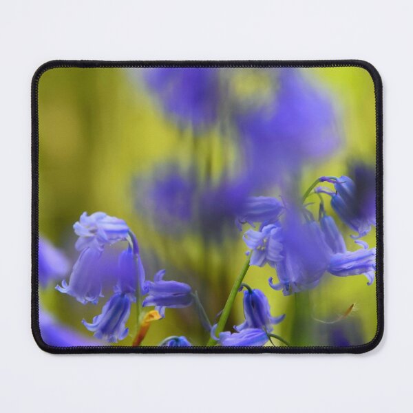 Item preview, Bluebells in a woods designed and sold by CPGStudios.