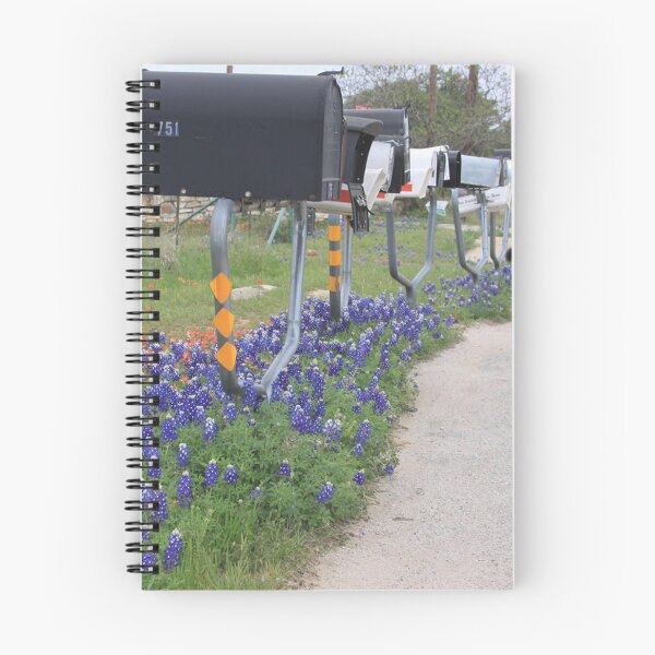 Item preview, Bluebonnets, Indian Paintbrush and Mailboxes designed and sold by Robert Armendariz.