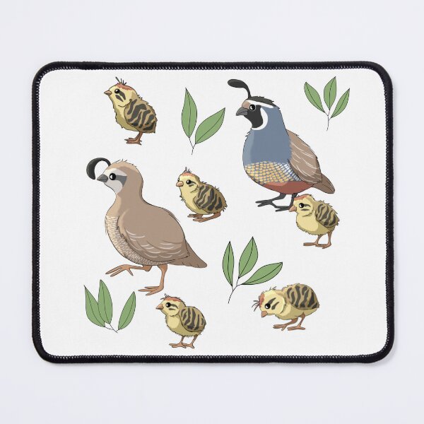 Item preview, California Quail Family designed and sold by RhondaLuluArt.