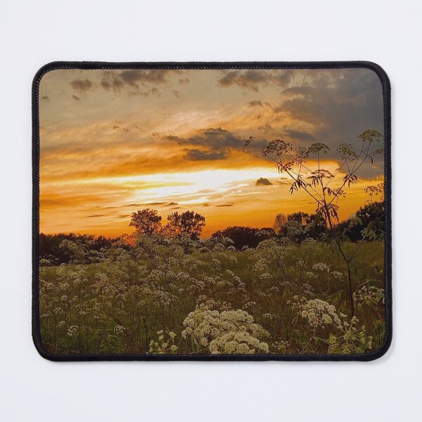 Item preview, Arkansas Beauty designed and sold by byraquelesma.
