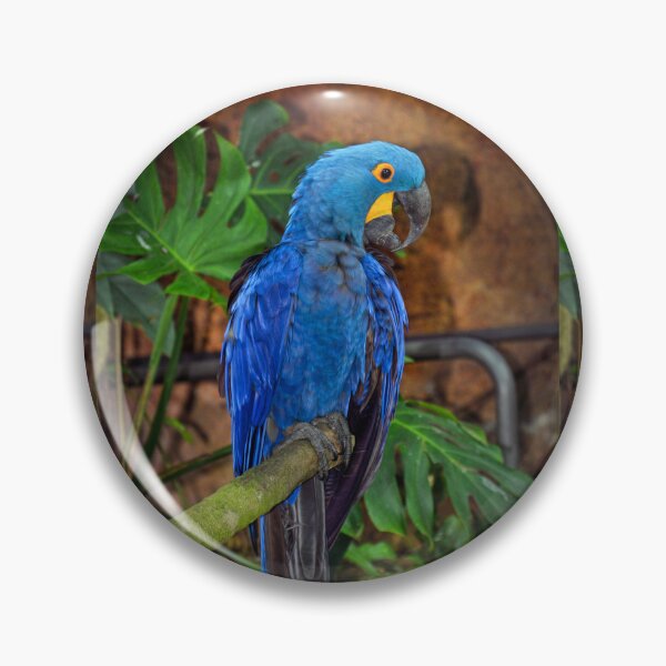 Item preview, Parrot  designed and sold by Savannah Gibbs.