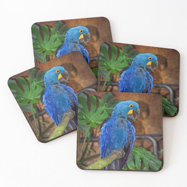 Item preview, Parrot  designed and sold by Savannah Gibbs.