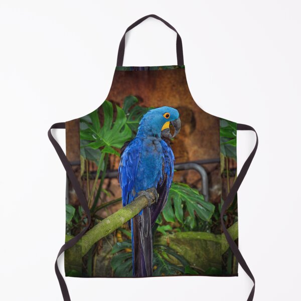 Item preview, Parrot  designed and sold by Savannah Gibbs.
