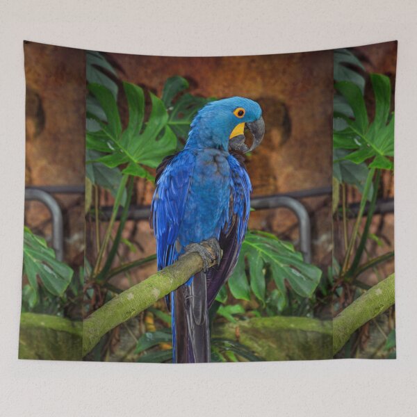 Item preview, Parrot  designed and sold by Savannah Gibbs.