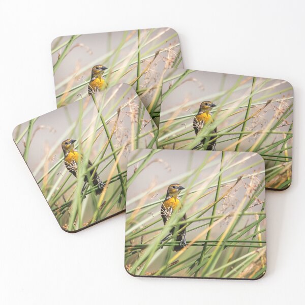Item preview, Yellow-headed Blackbird (female) designed and sold by CarolM.