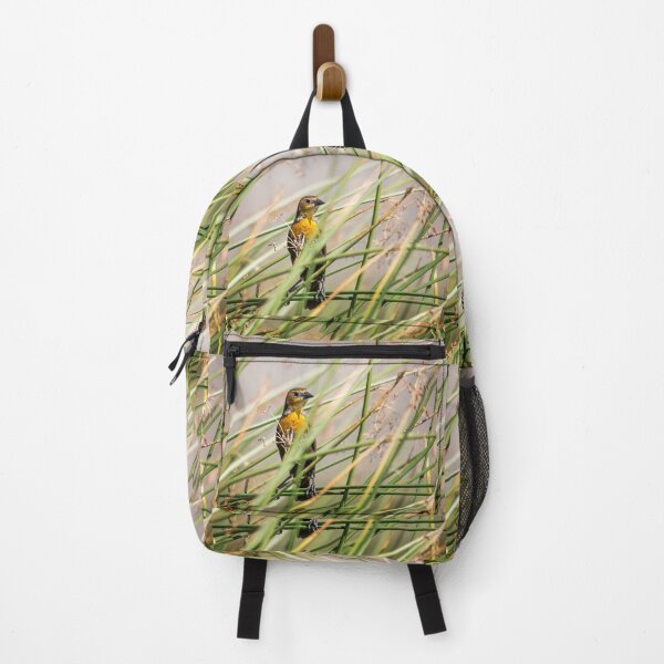 Item preview, Yellow-headed Blackbird (female) designed and sold by CarolM.