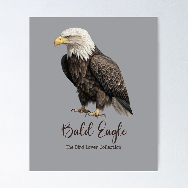 Item preview, Bald Eagle - The Bird Lover Collection designed and sold by GoodOldVintage.