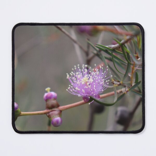 Item preview, Graceful Honey-Myrtle  designed and sold by LeanneAllen.