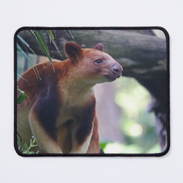 Item preview, Goodfellow's Tree Kangaroo designed and sold by LeanneAllen.