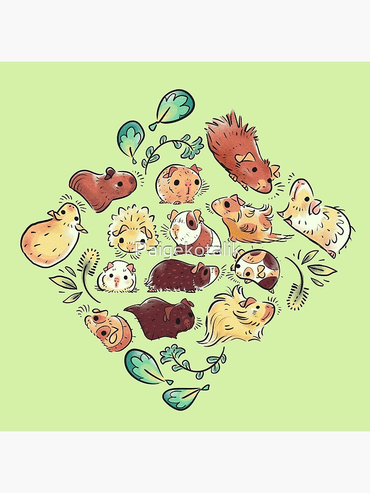 Guinea Pig Diamond by Paigekotalik