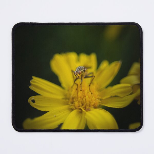 Item preview, Sawfly on Goldenbrush designed and sold by GreenerScenes.