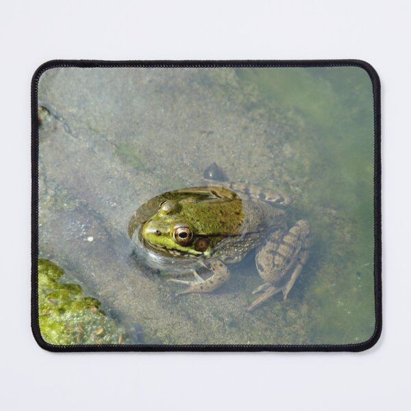 Item preview, You've been Spotted!! designed and sold by AGODIPhoto.