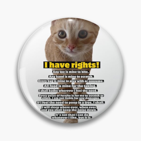Item preview, Cat rights constitution  designed and sold by Kitty Shinanigans.