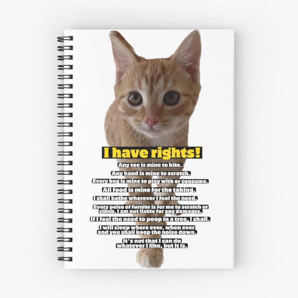 Aperçu de l'œuvre Constitution des droits des chats créée et vendue par Kitty Shinanigans.