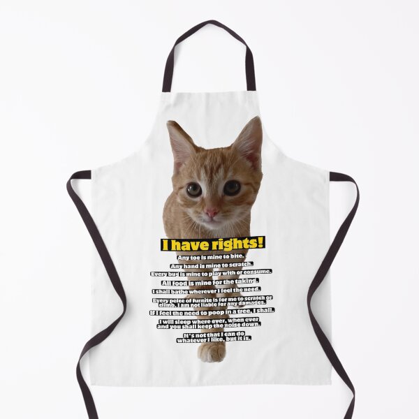 Item preview, Cat rights constitution designed and sold by Kitty Shinanigans.